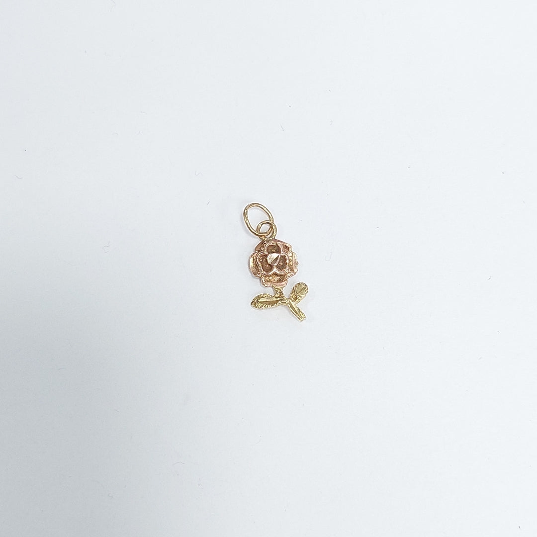 DIJE ORO 14 K 0,70 GRMS (SEMINUEVO)