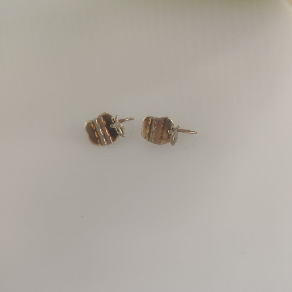 ARETES PAR ORO 10 K 1,00 GRMS (SEMINUEVO)
