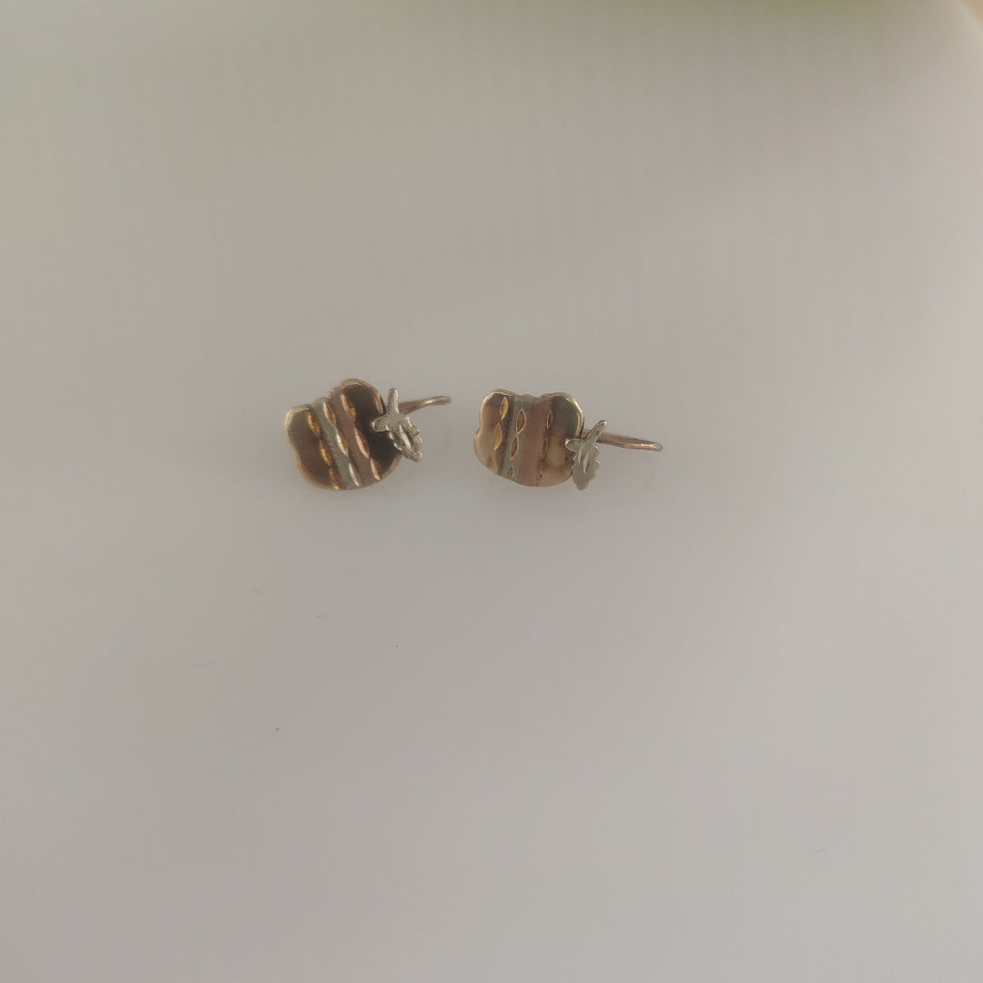 ARETES PAR ORO 10 K 1,00 GRMS (SEMINUEVO)