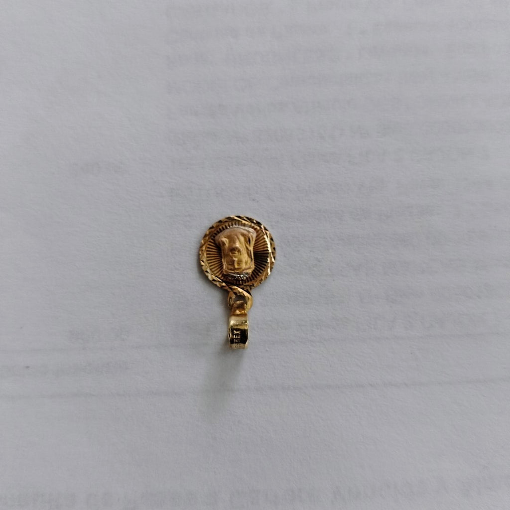 DIJE ORO 10 K 0.7 GRMS (SEMINUEVO)