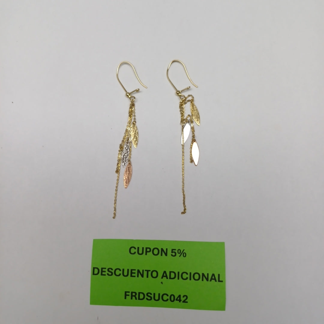 ARETES PAR ORO 10 K 2 GRMS (SEMINUEVO)