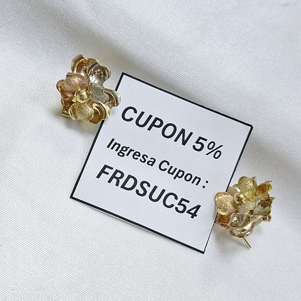 ARETES PAR ORO 14 K 7 GRMS (SEMINUEVO)