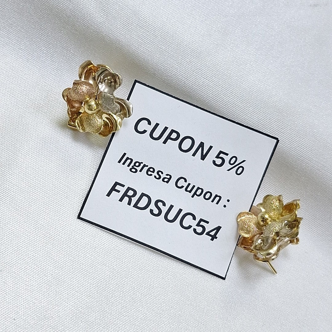 ARETES PAR ORO 14 K 7 GRMS (SEMINUEVO)