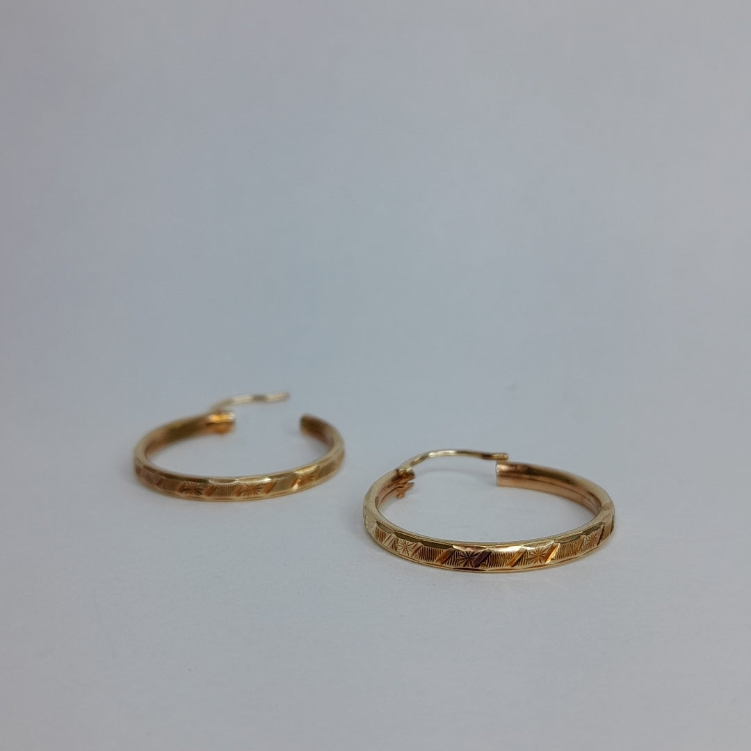 ARRACADAS PAR ORO 10 K 1.6 GRMS (SEMINUEVO)