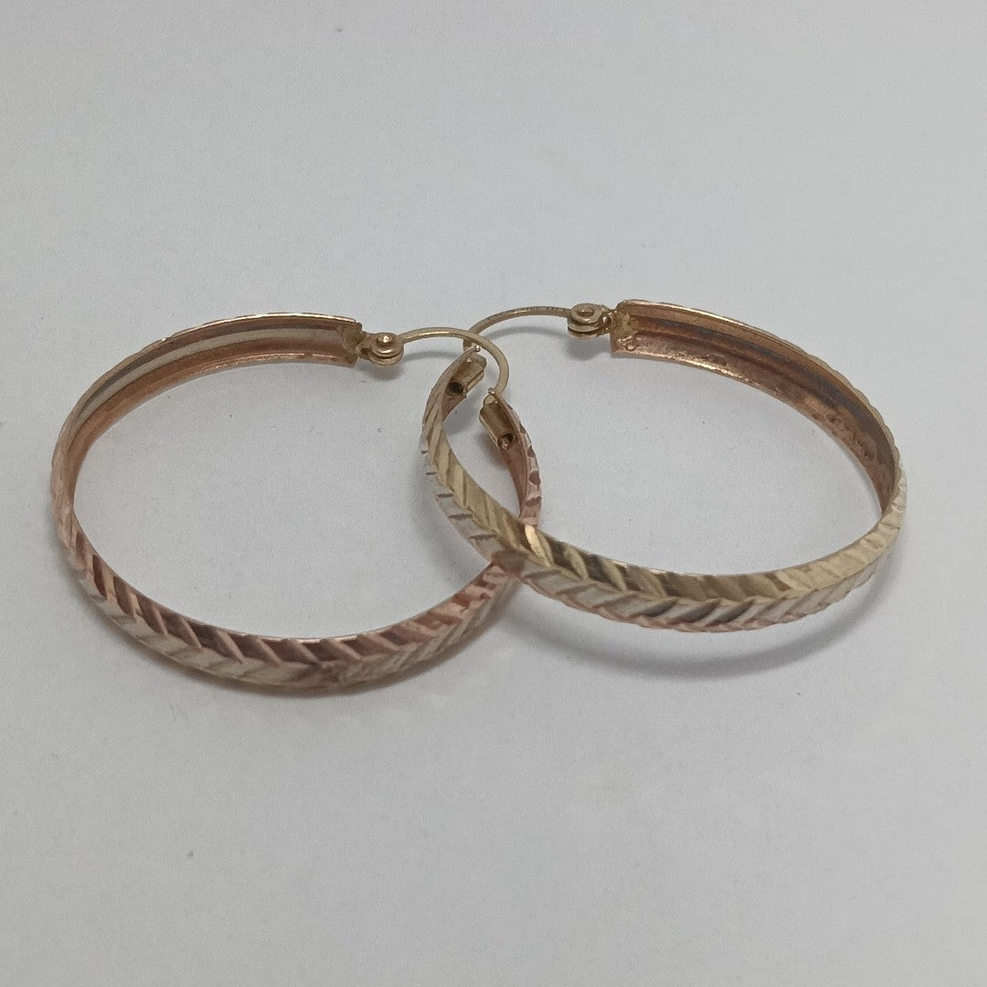 ARRACADAS PAR ORO 10 K 2,80 GRMS (SEMINUEVO)