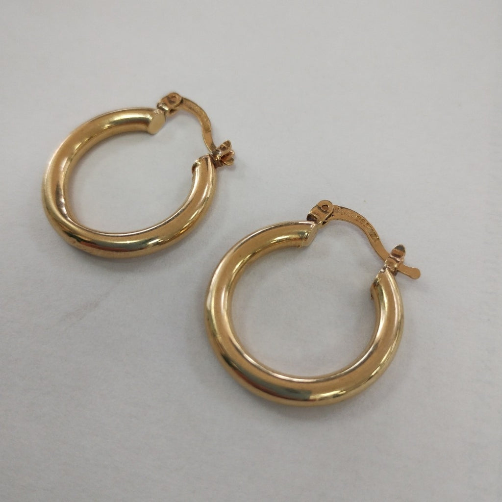 ARRACADAS PAR ORO 10 K 1.8 GRMS (SEMINUEVO)