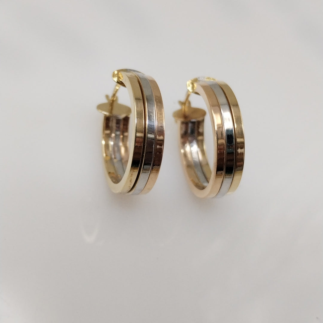 ARETES PAR ORO 14 K 2.5 GRMS (SEMINUEVO)