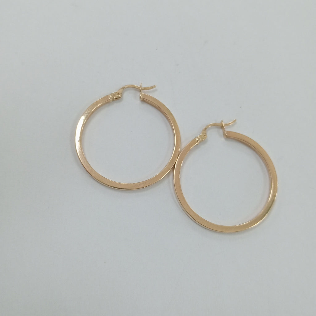 ARRACADAS PAR ORO 10 K 2.3 GRMS (SEMINUEVO)
