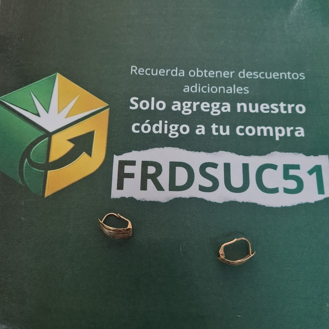 ARETES PAR ORO 10 K 2,20 GRMS (SEMINUEVO)