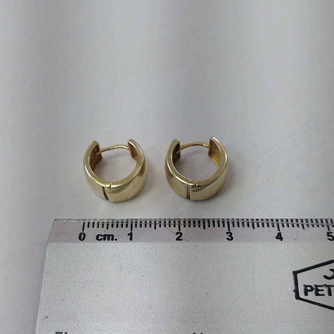 ARRACADAS PAR ORO 10 K 2.7 GRMS (SEMINUEVO)