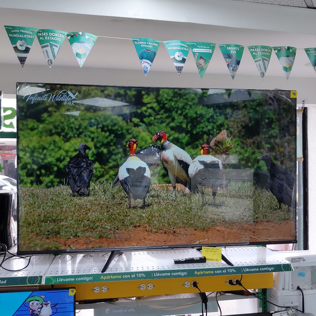 PANTALLA HISENSE 65A6H (2023) 65" LED 4K (SEMINUEVO)