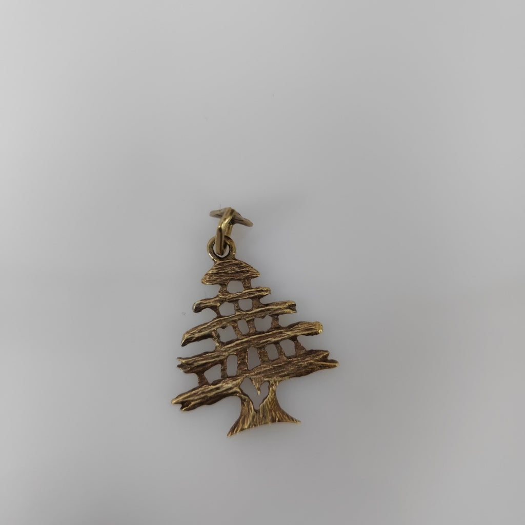 DIJE ORO 14 K 2.9 GRMS (SEMINUEVO)