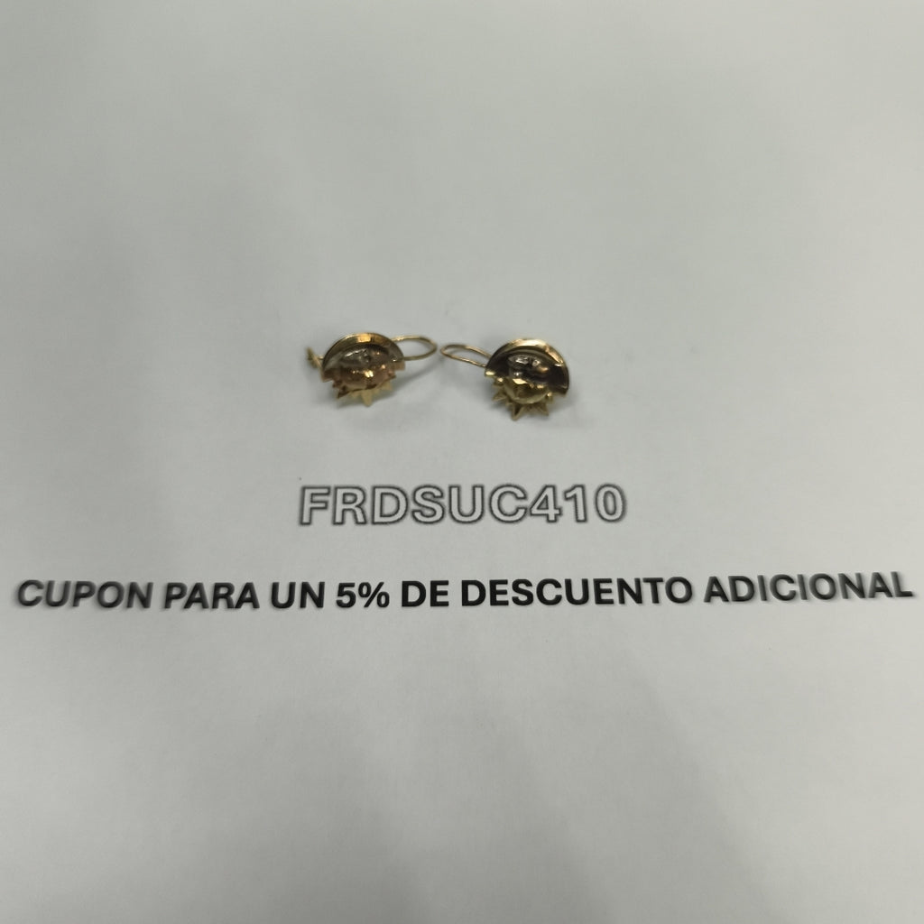 ARETES PAR ORO COMBINADO 10 K 0,90 GRMS (SEMINUEVO)