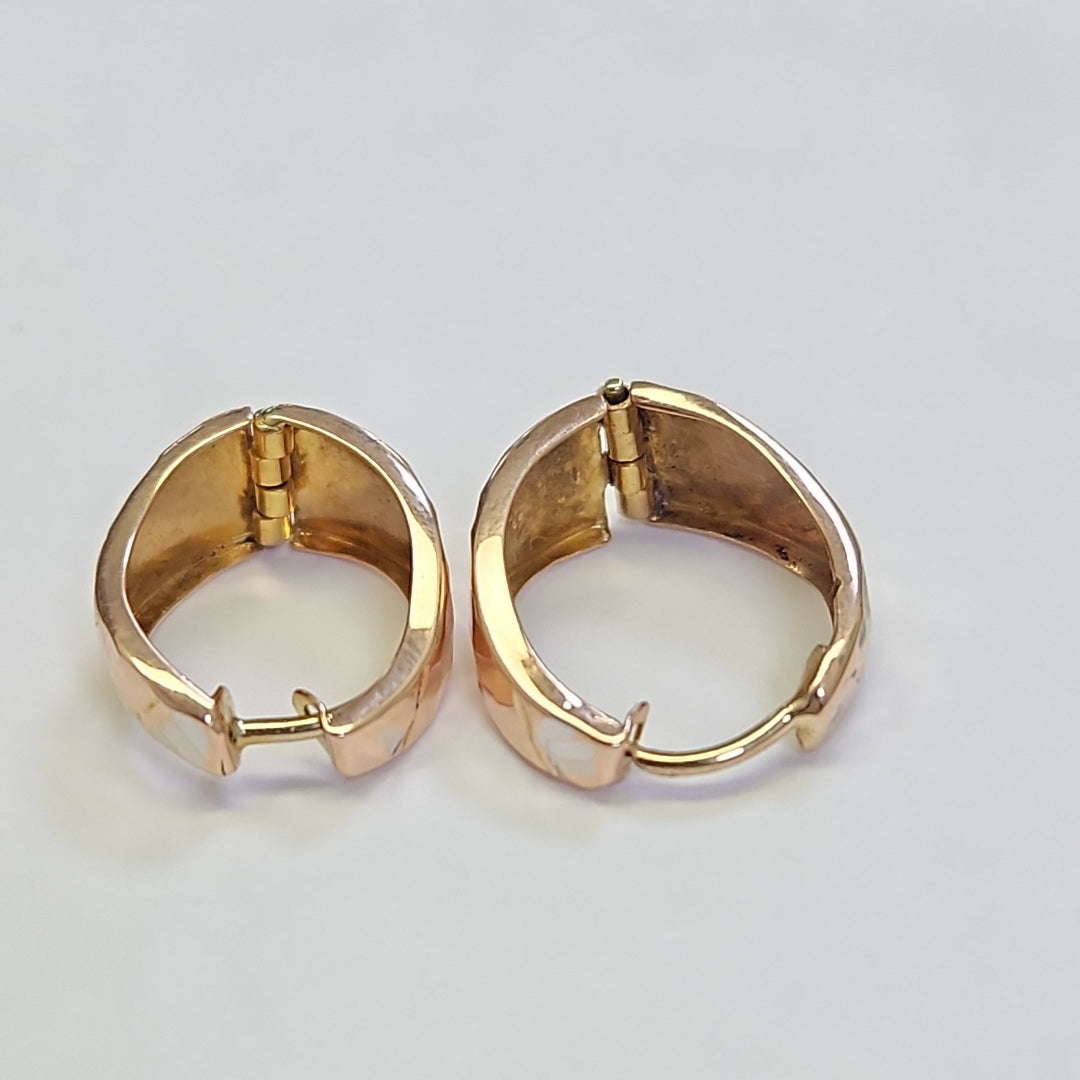 ARETES PAR ORO COMBINADO 10 K 1.2 GRMS (SEMINUEVO)