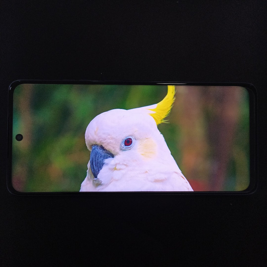 CELULAR MOTOROLA MOTO G56 5G XT2529-1(2025) 256 GB 8 GB RAM (SEMINUEVO)
