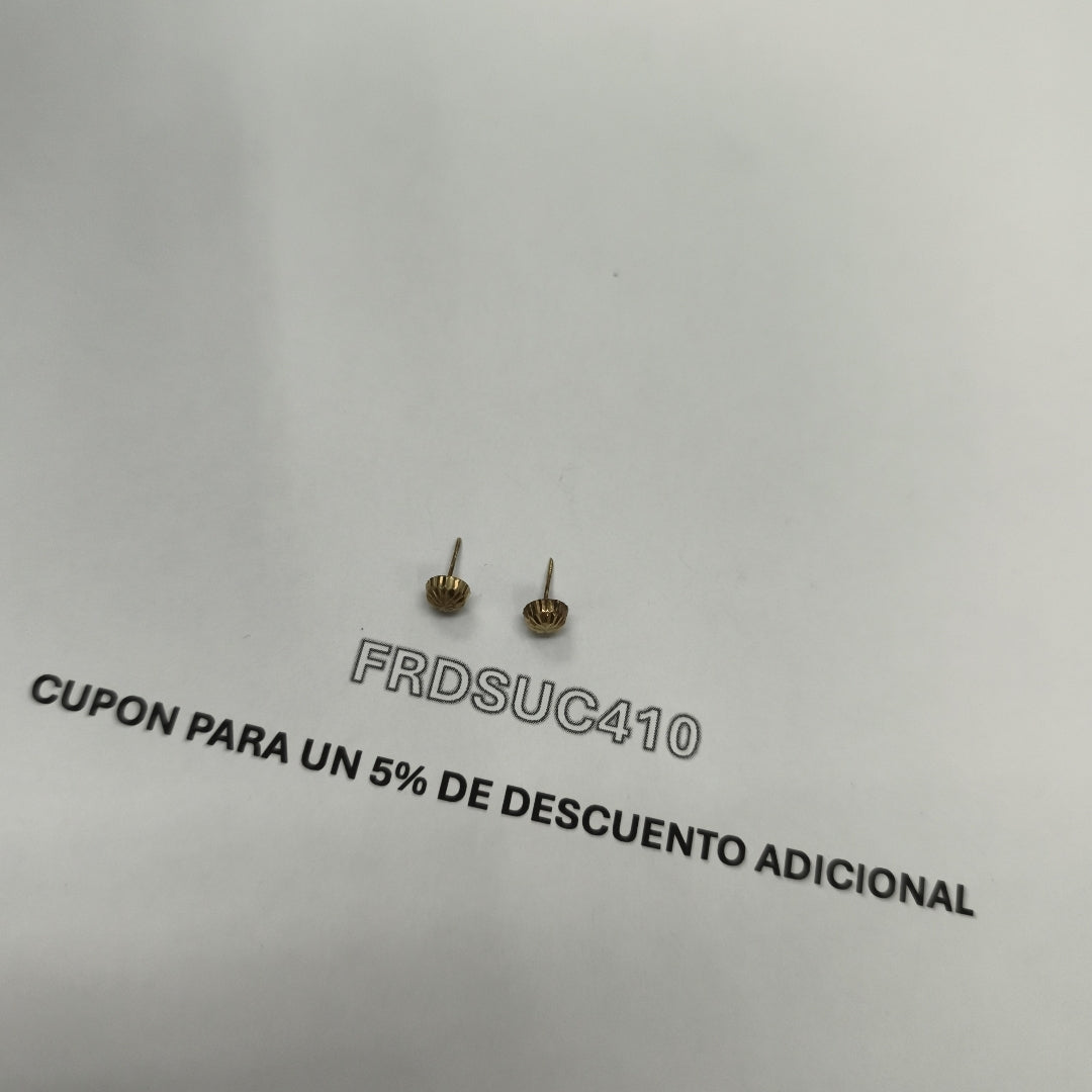BROQUELES PAR ORO 10 K 0,30 GRMS (SEMINUEVO)