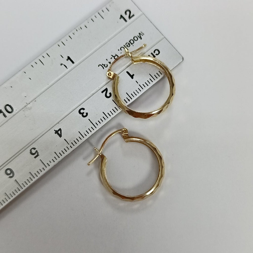 ARETES PAR ORO 10 K 1,70 GRMS (SEMINUEVO)
