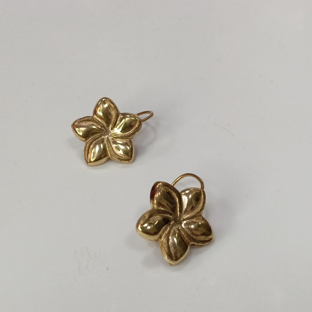 ARETES PAR ORO 10 K 1.5 GRMS (SEMINUEVO)