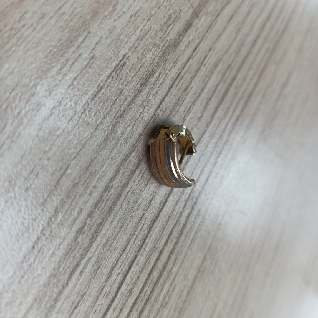 ARETES PAR ORO 10 K 2,10 GRMS (SEMINUEVO)