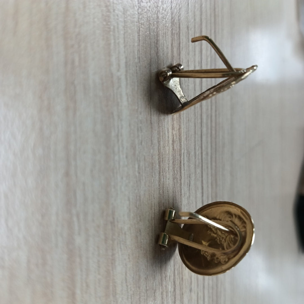 ARETES PAR ORO 10 K 2,90 GRMS (SEMINUEVO)