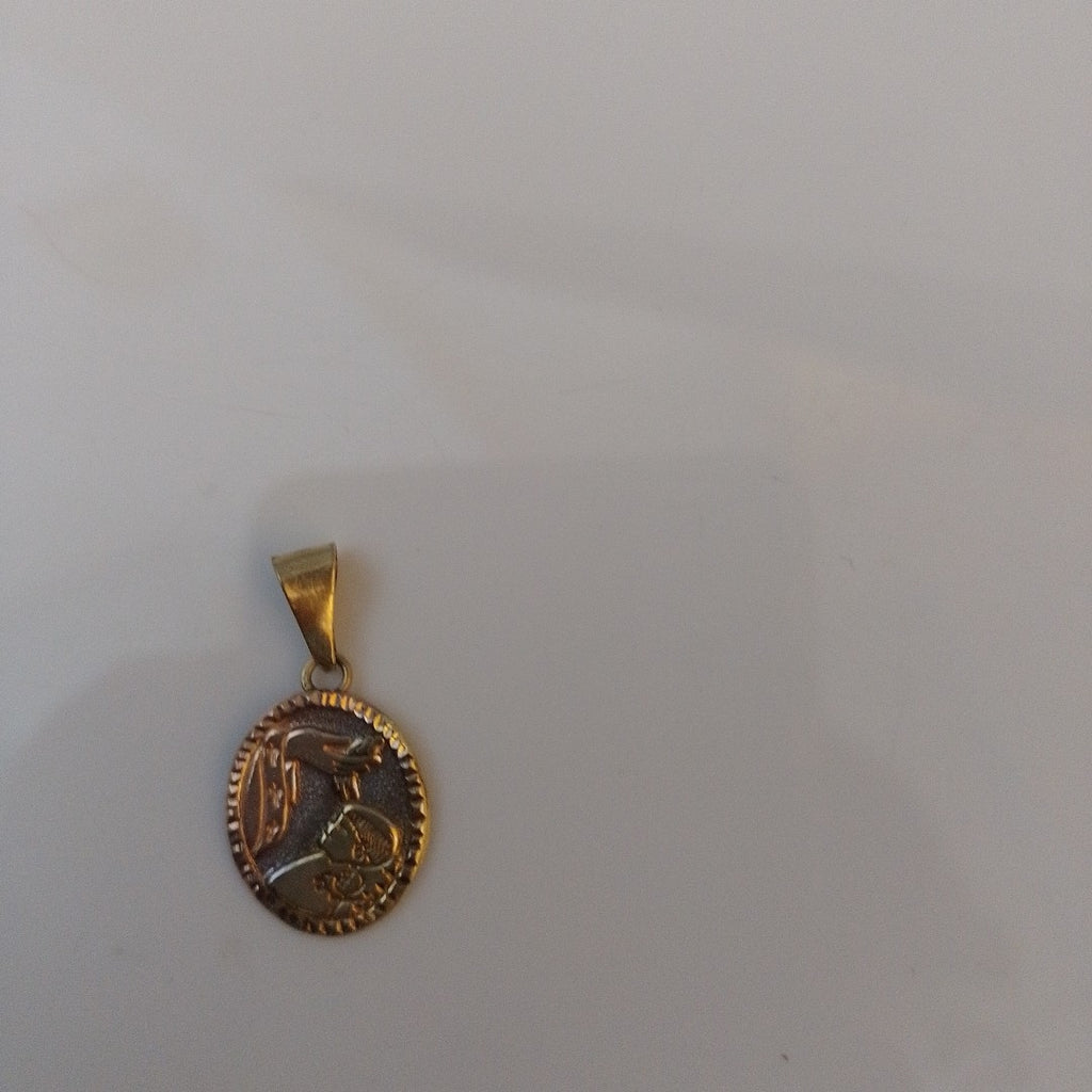 DIJE ORO COMBINADO 10 K 0.5 GRMS (SEMINUEVO)