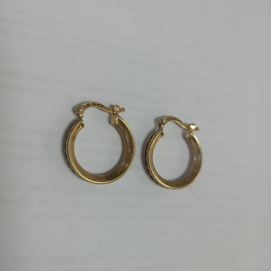 ARRACADAS PAR ORO 10 K 2,70 GRMS (SEMINUEVO)