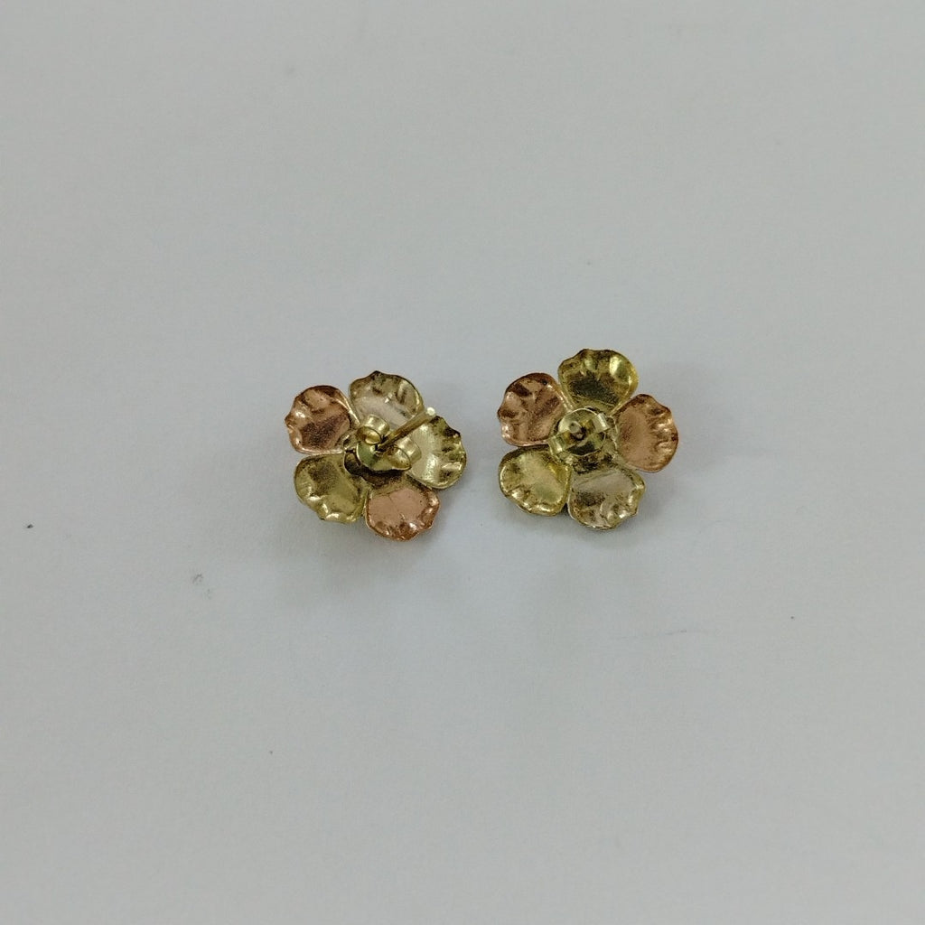ARETES PAR ORO 10 K 2.5 GRMS (SEMINUEVO)