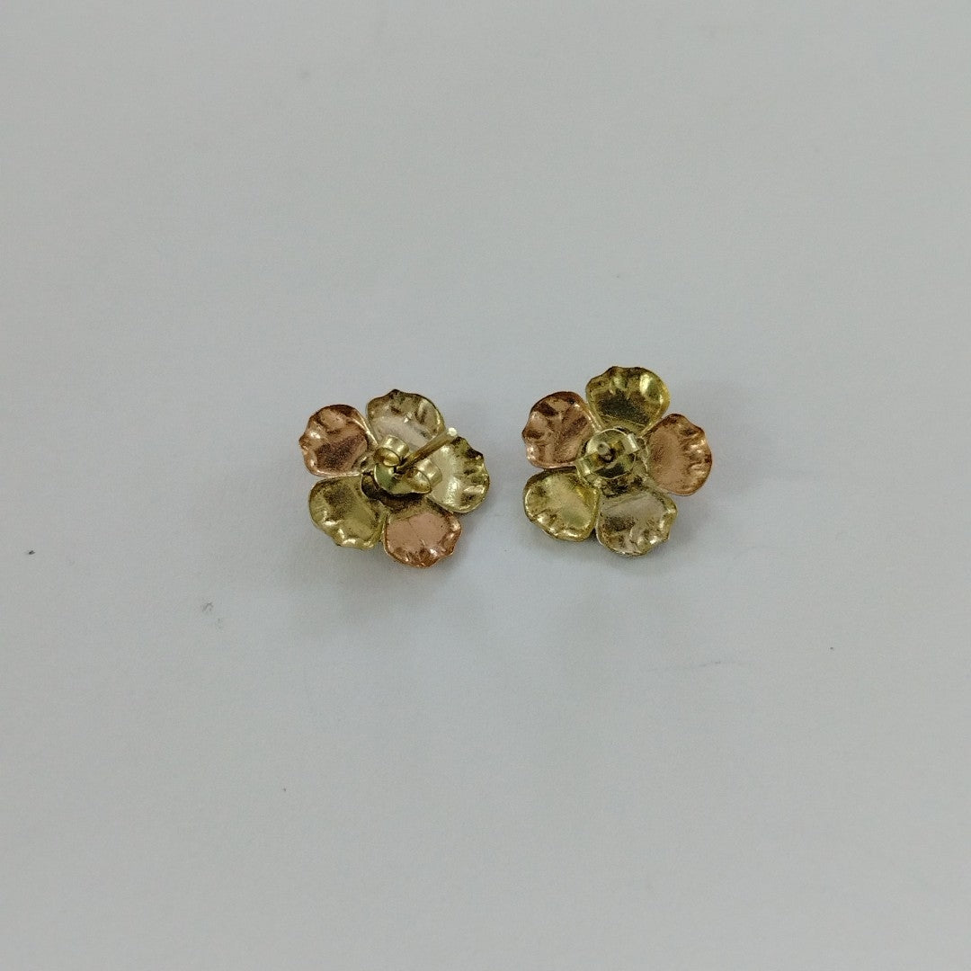 ARETES PAR ORO 10 K 2.5 GRMS (SEMINUEVO)