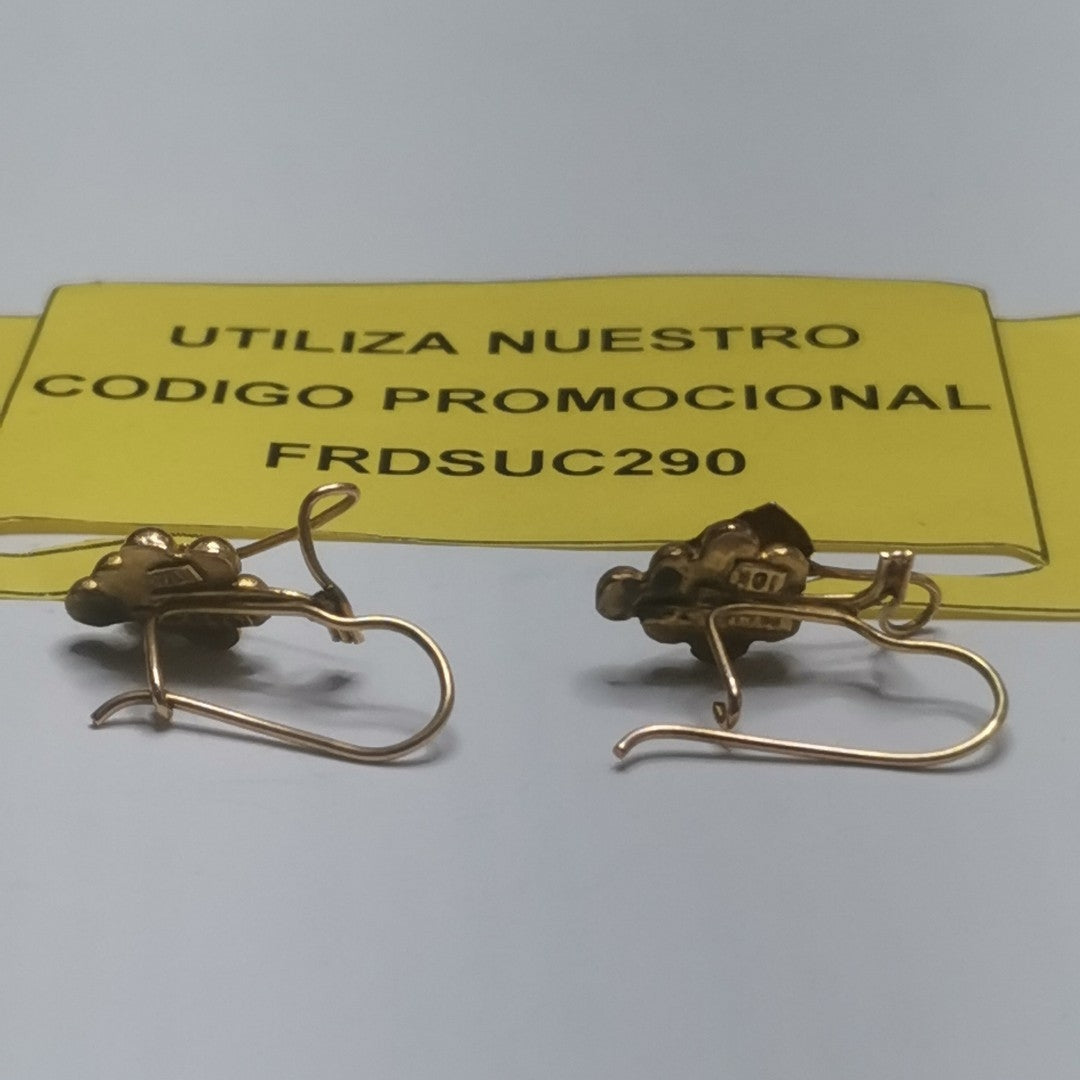 ARETES PAR ORO 10 K 2,00 GRMS (SEMINUEVO)