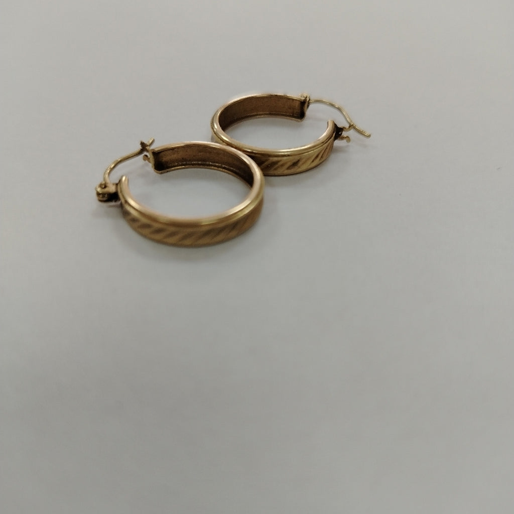 ARETES PAR ORO 10 K 2 GRMS (SEMINUEVO)
