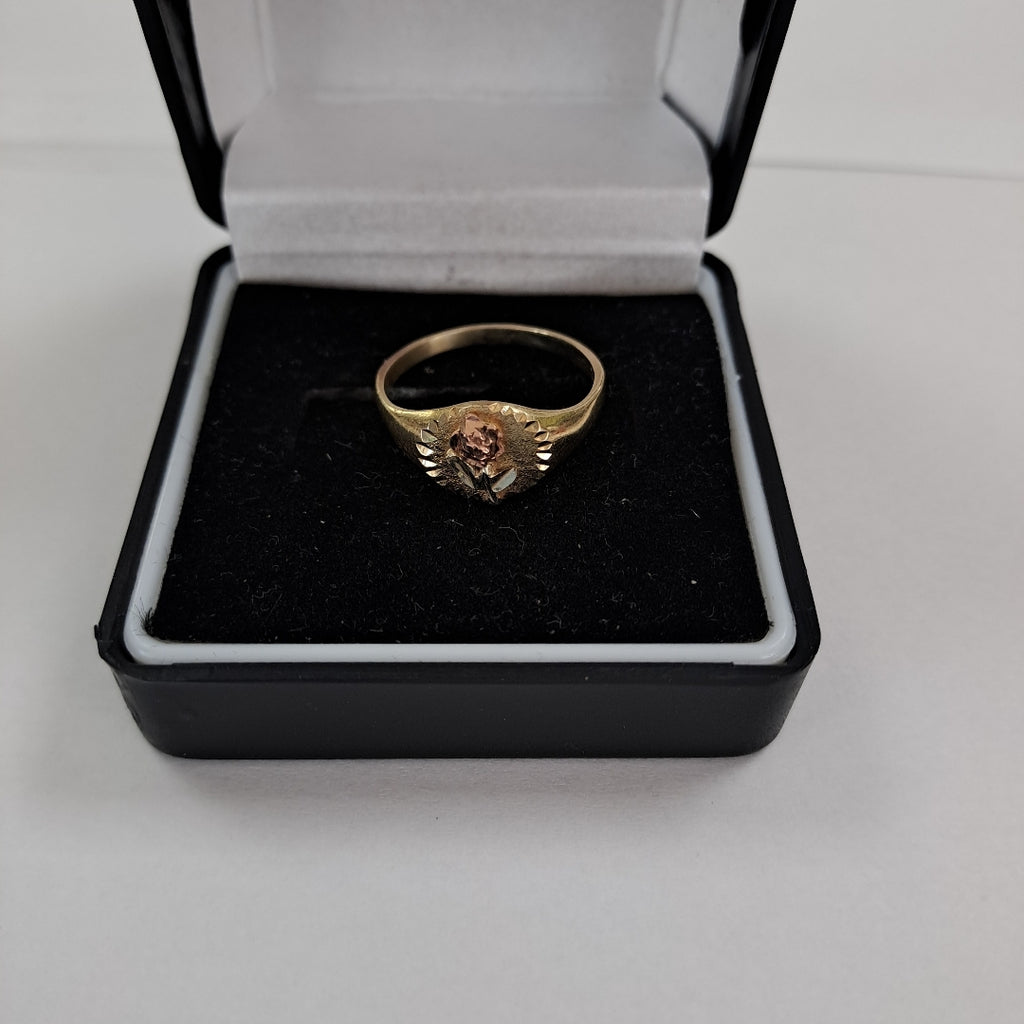 ANILLITO ORO 10 K 2.1 GRMS (SEMINUEVO)