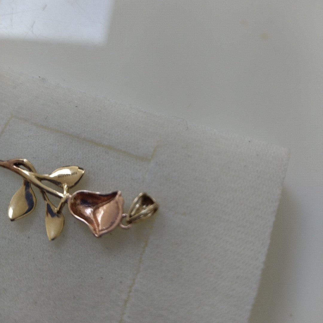 DIJE ORO 10 K 1.2 GRMS (SEMINUEVO)