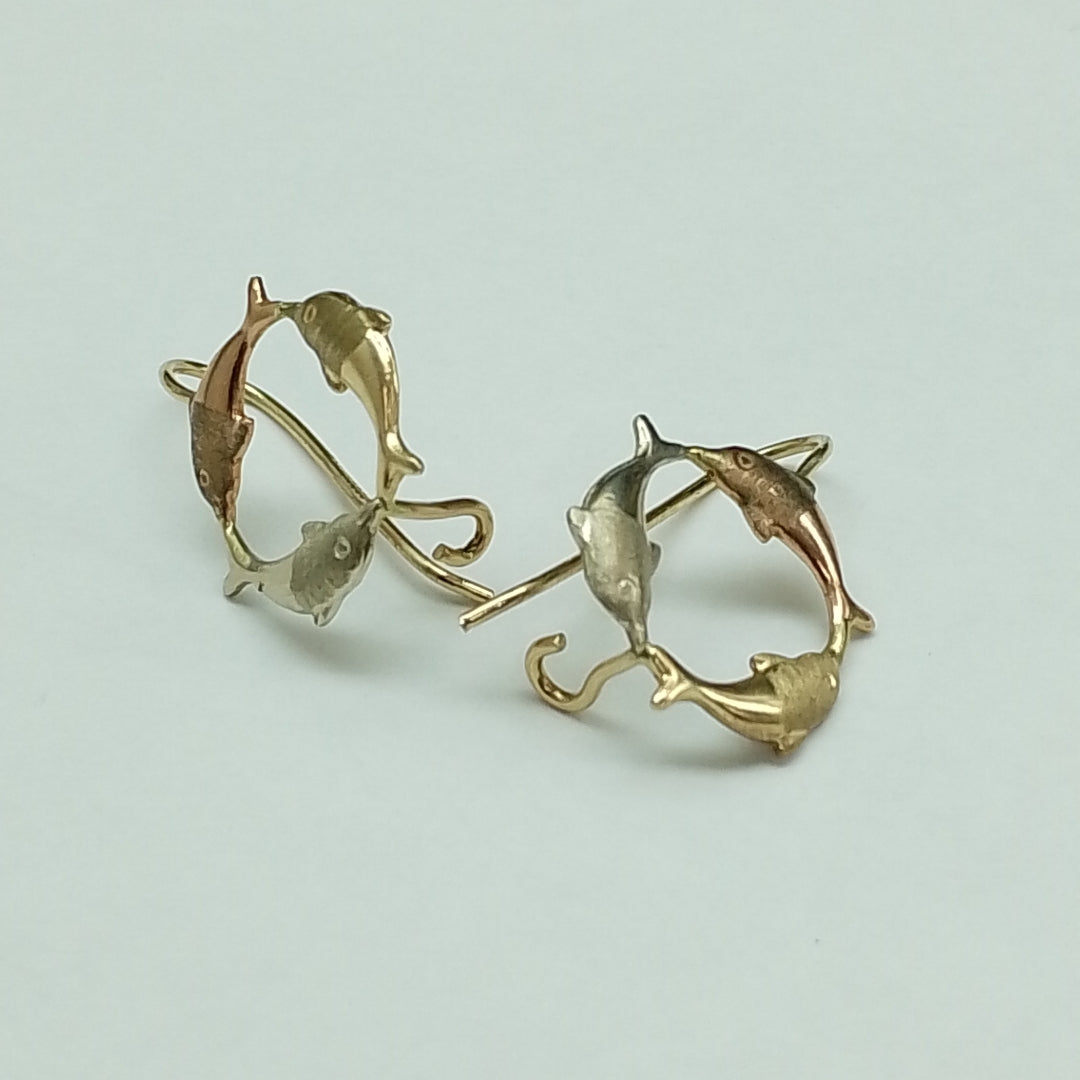 ARETES PAR ORO 10 K 2.2 GRMS (SEMINUEVO)