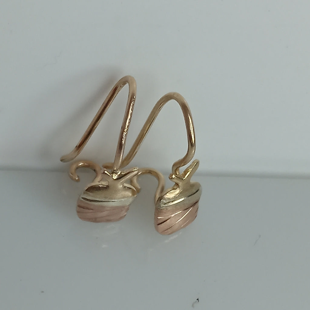 ARETES PAR ORO 10 K 0,70 GRMS (SEMINUEVO)
