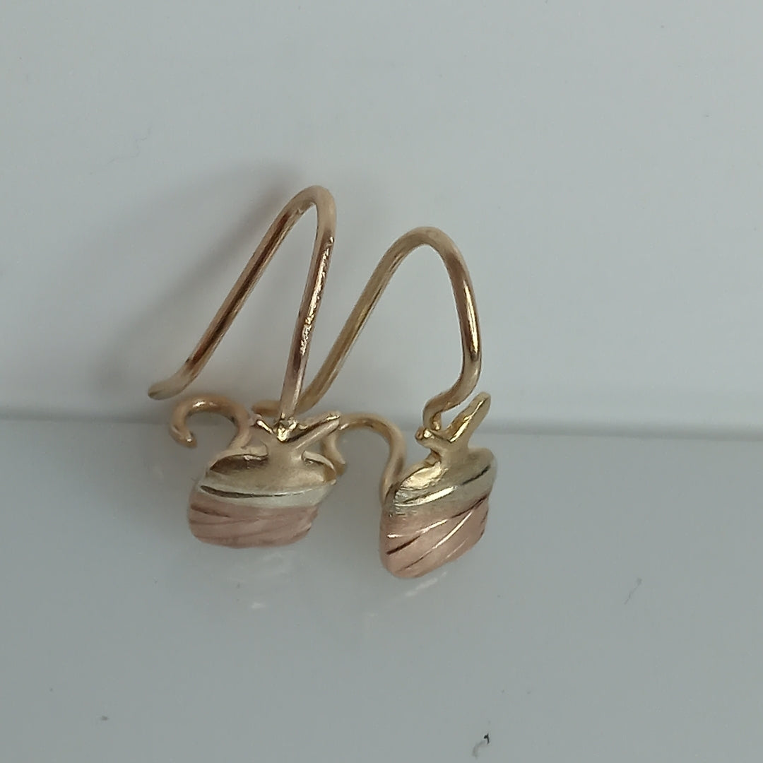 ARETES PAR ORO 10 K 0,70 GRMS (SEMINUEVO)