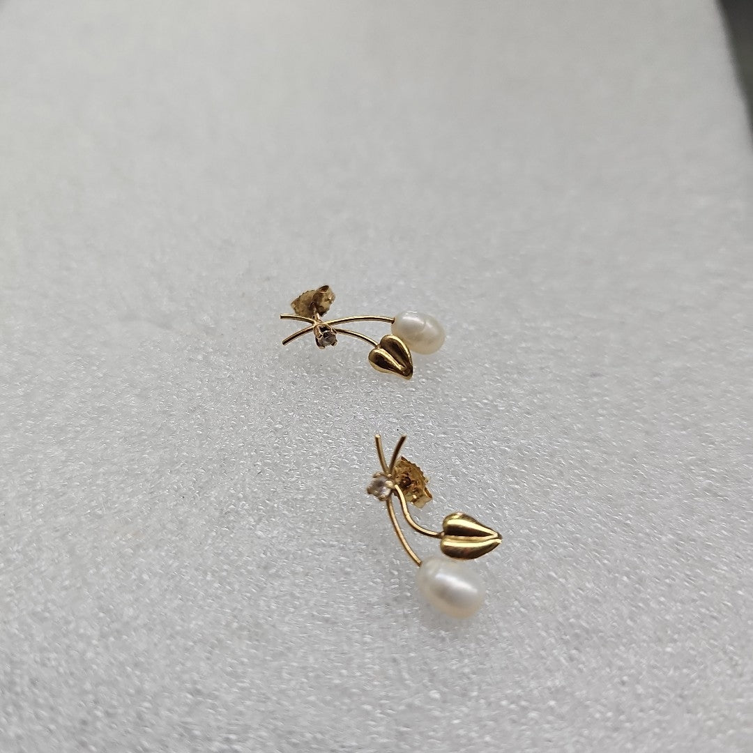 ARETES PAR ORO 10 K 1.4 GRMS (SEMINUEVO)