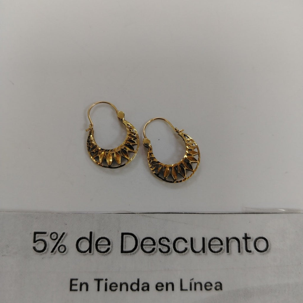 ARRACADAS PAR ORO 10 K 1.4 GRMS (SEMINUEVO)