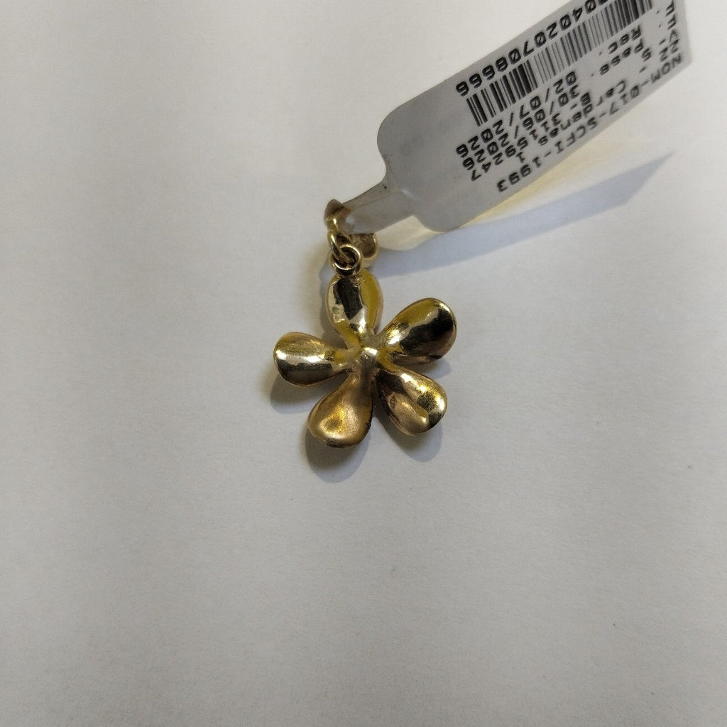 DIJE ORO 10 K 2.4 GRMS (SEMINUEVO)
