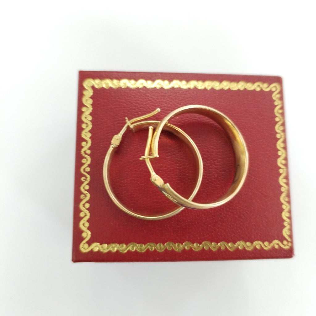 ARRACADAS PAR ORO 10 K 2,20 GRMS (SEMINUEVO)