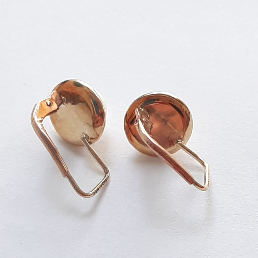 ARETES PAR ORO 10 K 2.2 GRMS (SEMINUEVO)