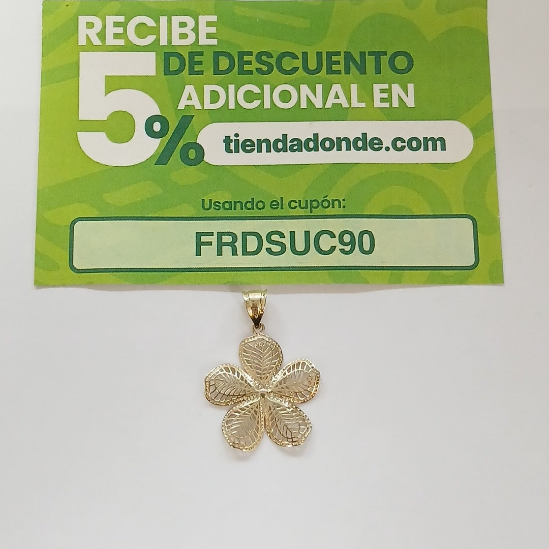 DIJES ORO 10K 1.1 (NUEVO)