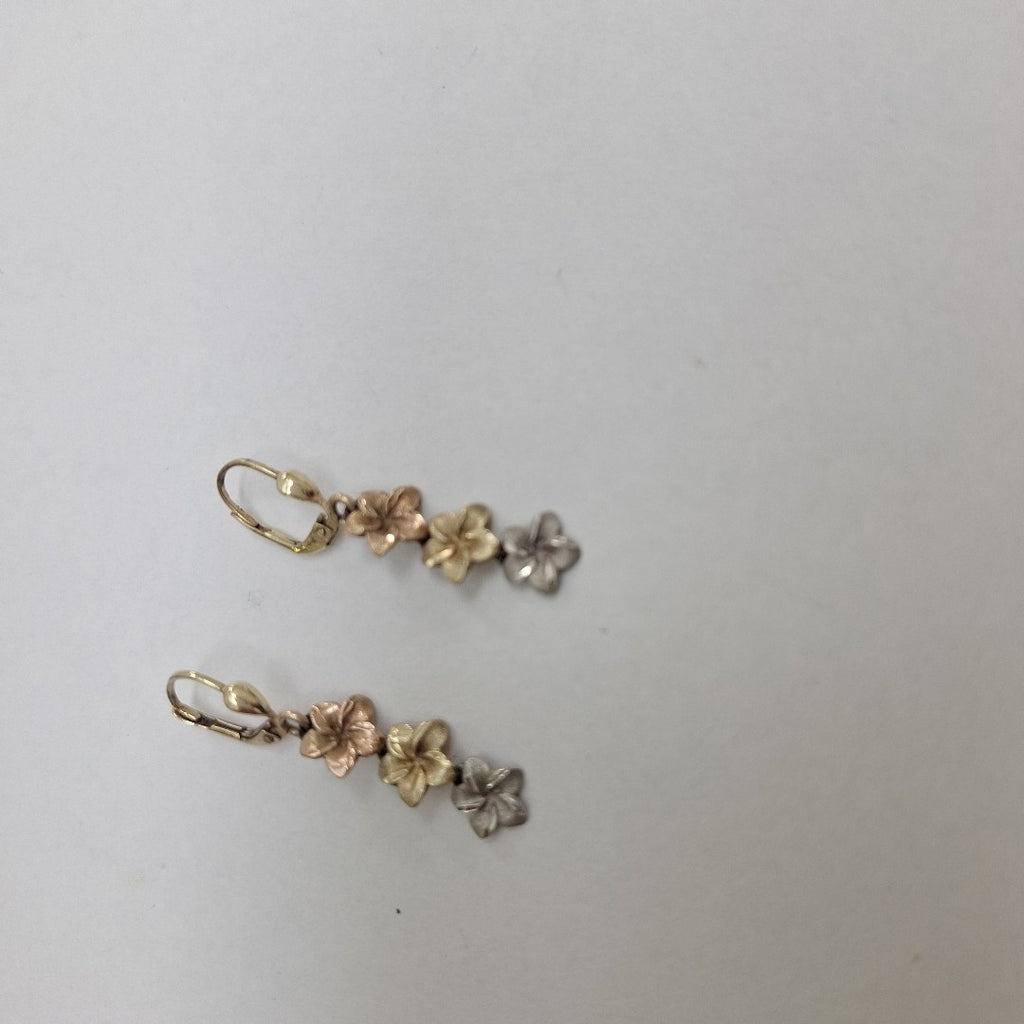 ARETES PAR ORO 10 K 2.8 GRMS (SEMINUEVO)