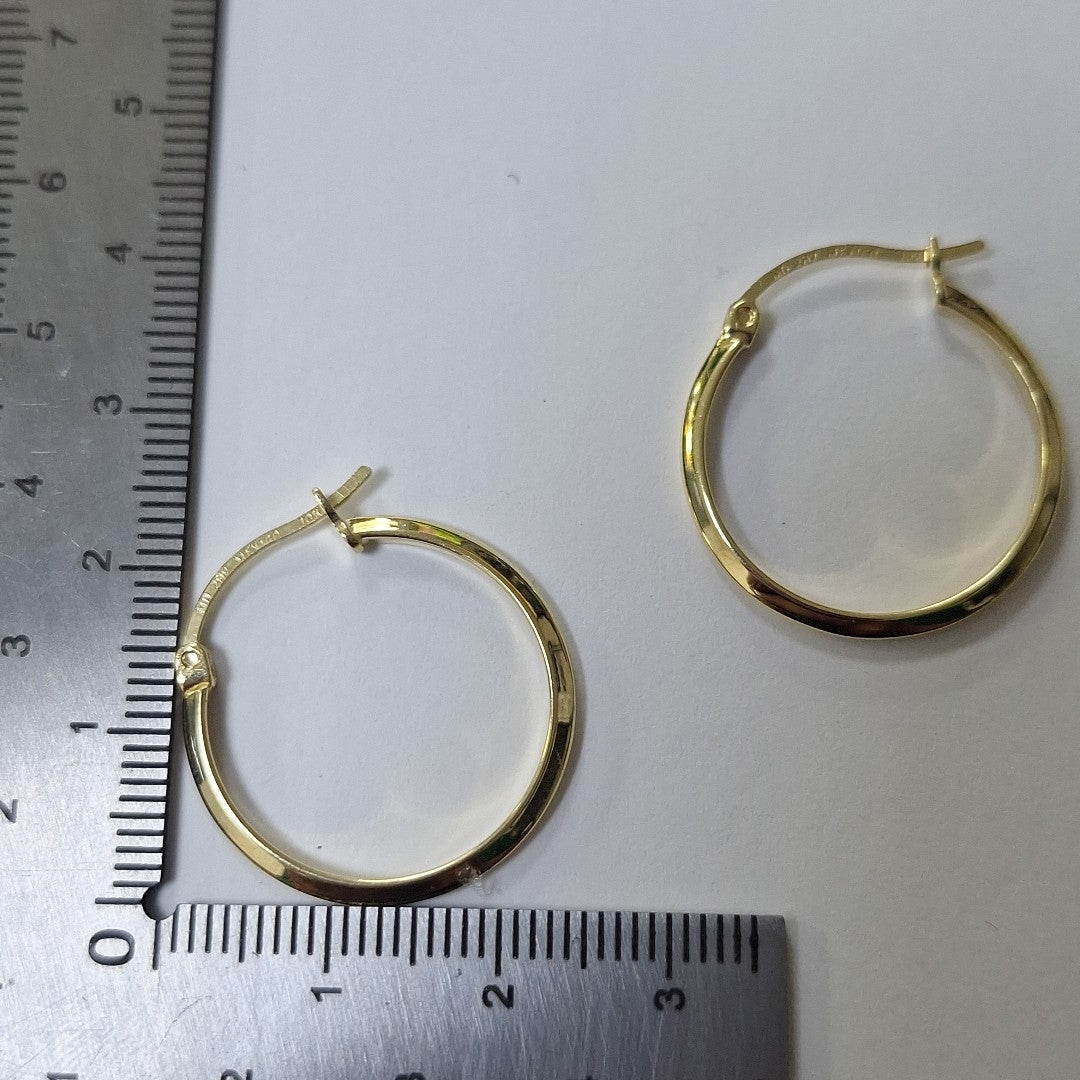 ARRACADAS PAR ORO 10 K 1.5 GRMS (SEMINUEVO)