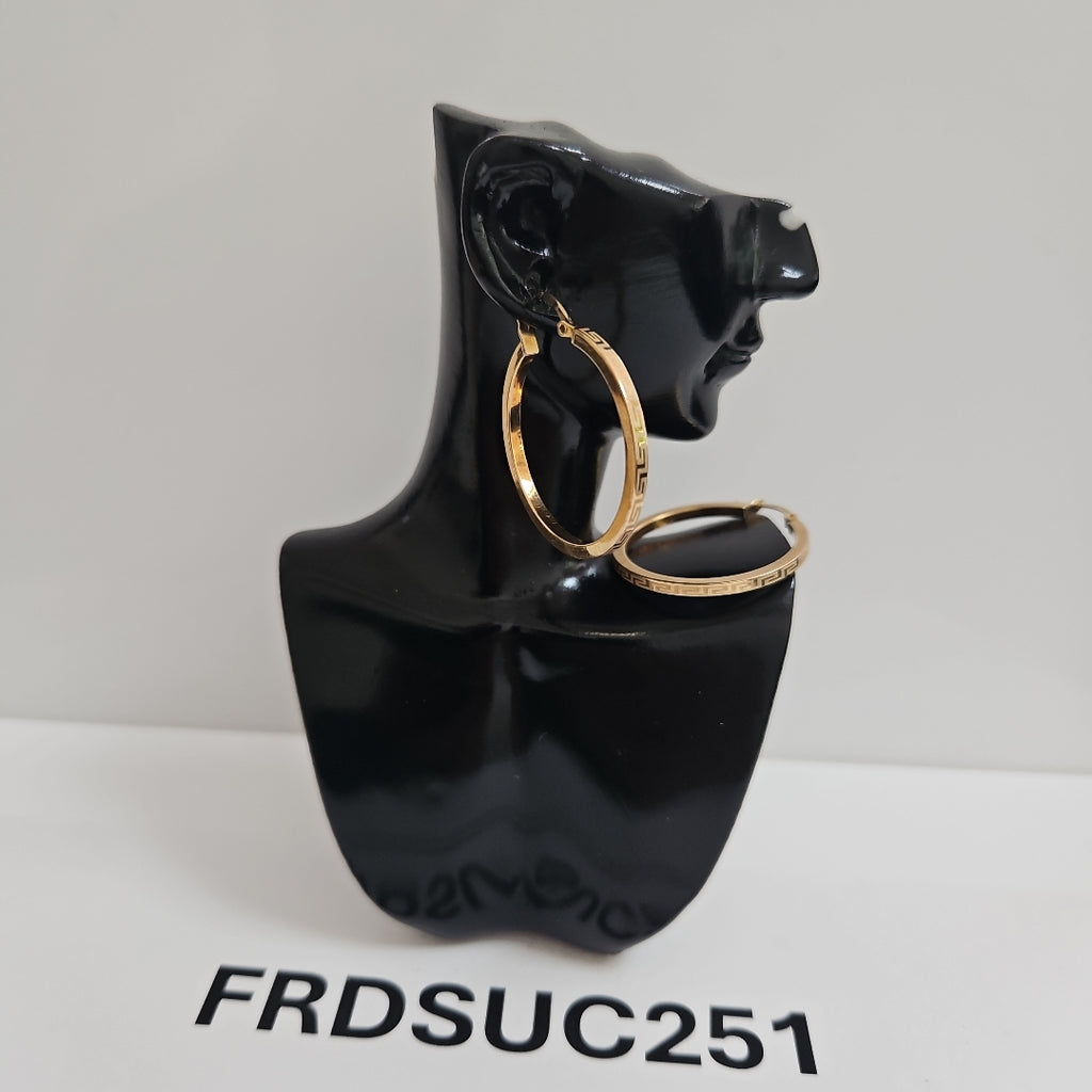 ARRACADAS PAR ORO 10 K 2,20 GRMS (SEMINUEVO)