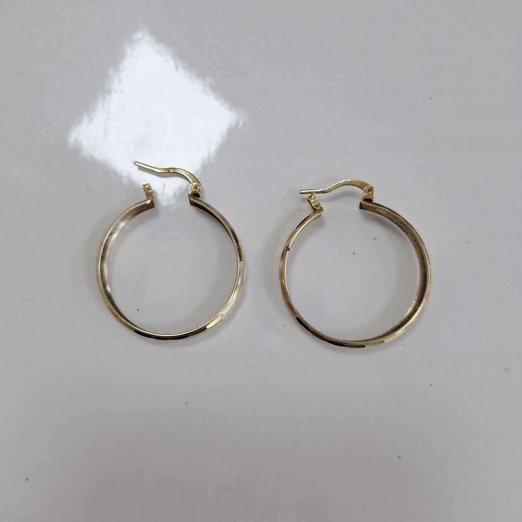 ARRACADAS PAR ORO 10 K 3 GRMS (SEMINUEVO)