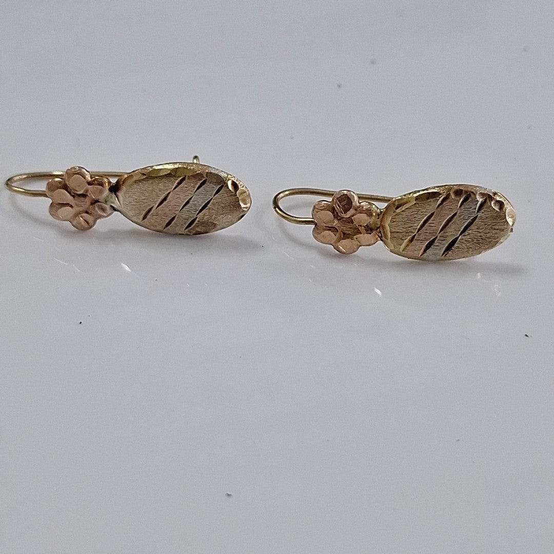 ARETES PAR ORO 10 K 1 GRMS (SEMINUEVO)