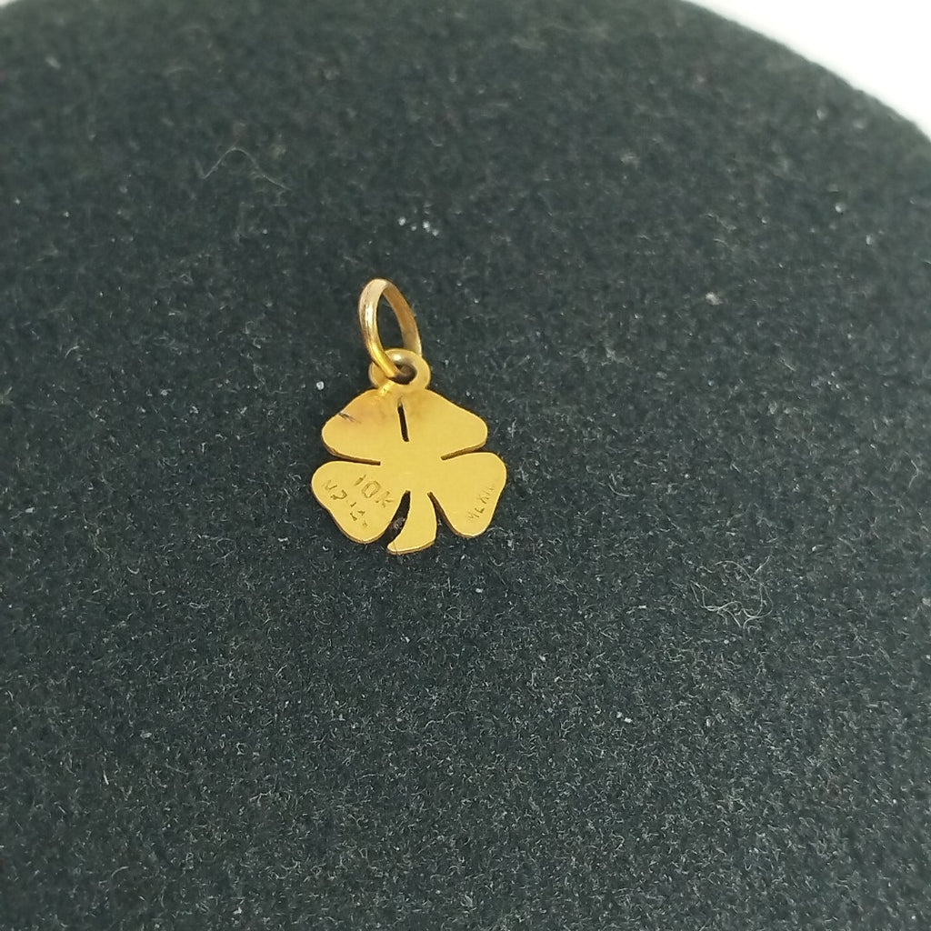DIJE ORO 10 K 0,40 GRMS (SEMINUEVO)