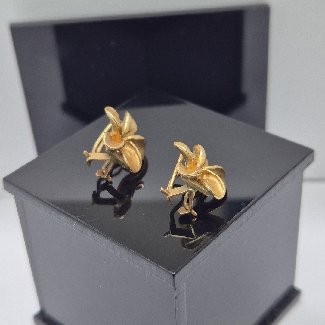 ARETES PAR ORO 14 K 3.7 GRMS (SEMINUEVO)