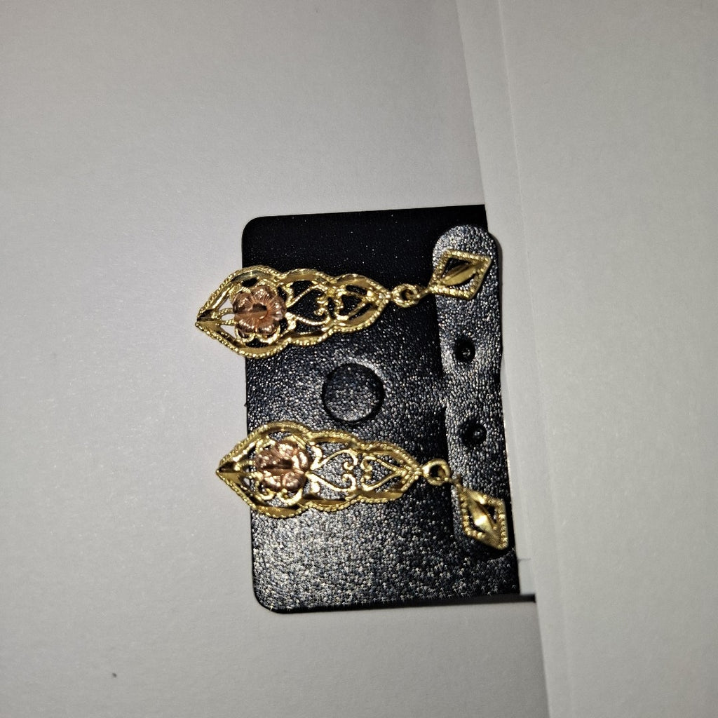 ARETES PAR ORO 10 K 2.6 GRMS (SEMINUEVO)