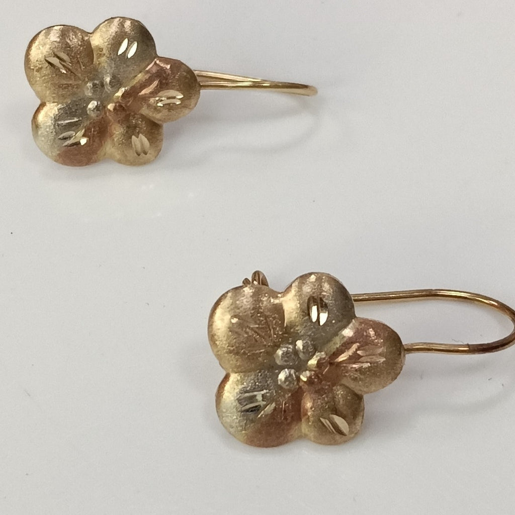 ARETES PAR ORO 10 K 1.1 GRMS (SEMINUEVO)